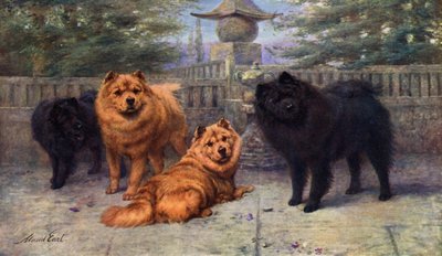 Vier Champion Chow-Chows im Besitz von Mrs. Scaramanga von Maud Earl